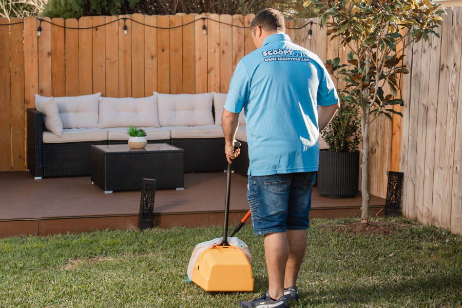 Scoopy Pro technician cleaning a backyard